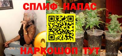 стафф Кандалакша