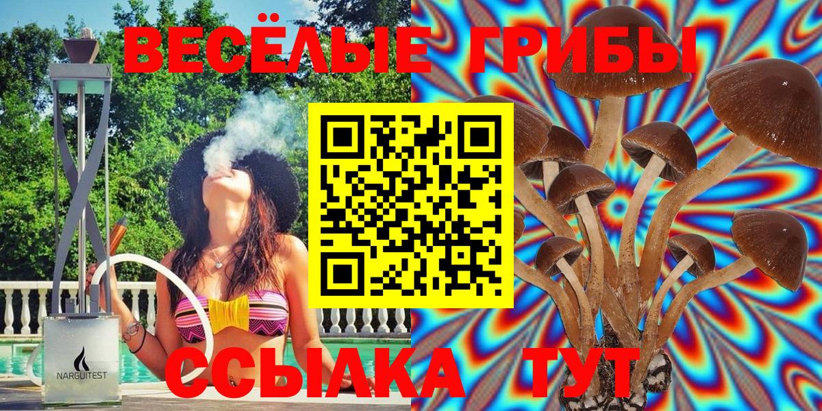 Галлюциногенные грибы мицелий Лабытнанги