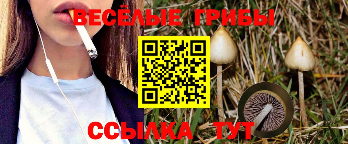 Псилоцибиновые грибы мицелий  Лабытнанги 