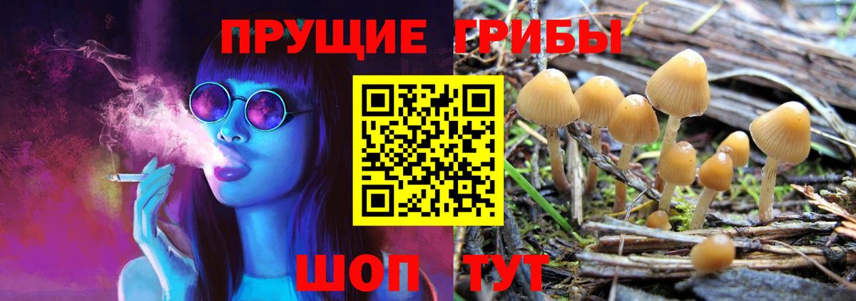 Галлюциногенные грибы Magic Shrooms  Псилоцибиновые грибы Psilocybine cubensis  Вход с VPN  Лабытнанги 